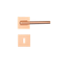 CE -15-